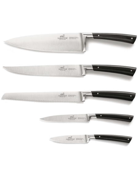 Lion Sabatier Edonist beechwood block 5 stainless steel forged knives