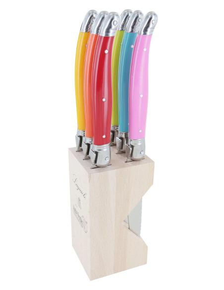 Blocco di 6 coltelli da bistecca microseghettati Laguiole di André Verdier Spring multicolore