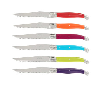 Conjunto de 6 facas para bifes micro-serrilhadas Laguiole de André Verdier Flores silvestres 2