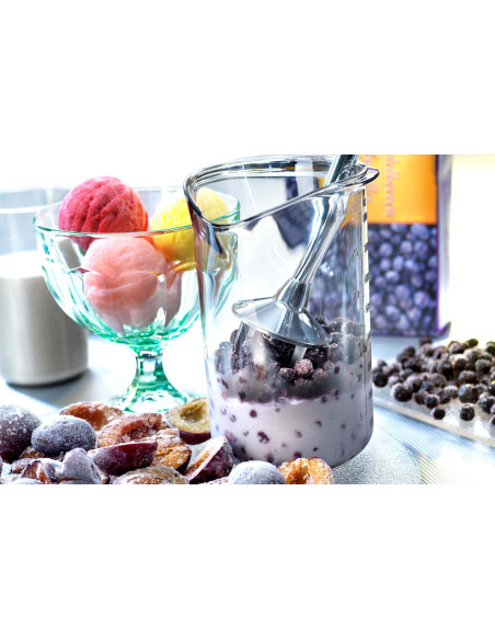 Bamix Pâtisserie M200 Swissline flødesæt - tilbehør + opskriftsbog