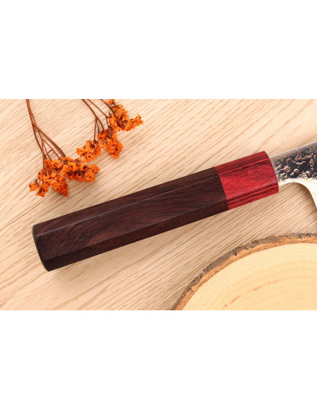 VG10 Rainbow Takeshi Saji 16,5 cm japansk håndlaget santoku-kniv