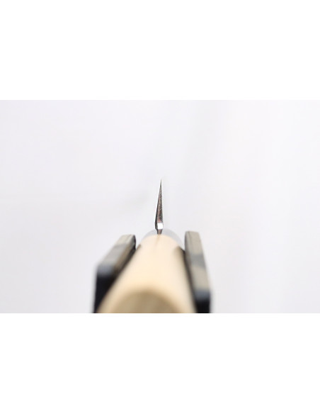 Tsunehisa WS2 27cm handgjord japansk yanagibakniv