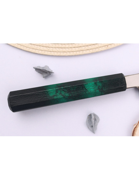Sakai Takayuki Nanairo 27cm Japans yanagiba mes Groen gelakt hars handvat