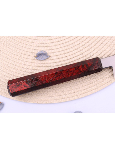 Sakai Takayuki Nanairo 27 cm japansk yanagibakniv med rødlakeret resinhåndtag