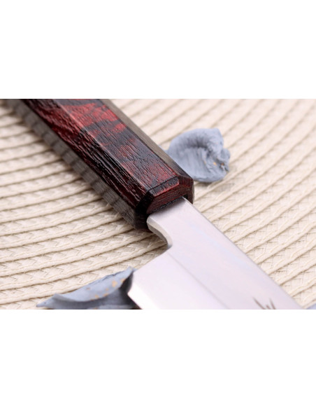 Sakai Takayuki Nanairo 21cm japanilainen yanagiba veitsi, jossa on punaiseksi lakattu hartsikahva