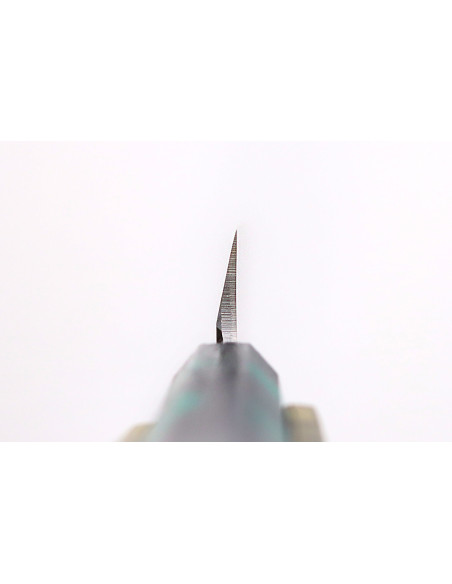 Japanisches Yanagiba-Messer 21cm Sakai Takayuki Nanairo Griff aus grün lackiertem Harz