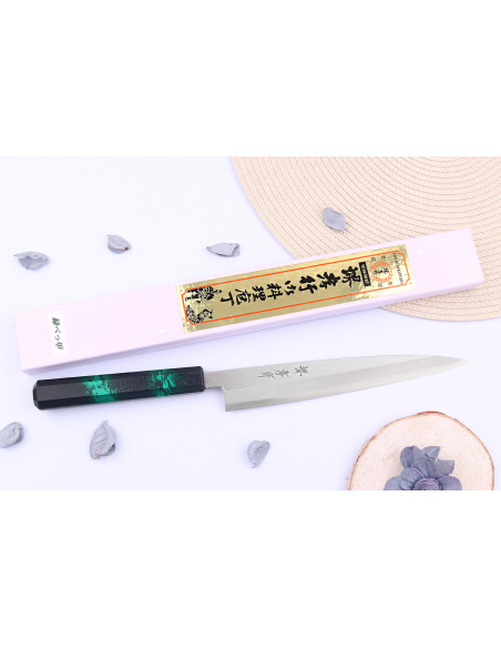 Sakai Takayuki Nanairo 21 cm japansk yanagibakniv Grønt lakkert harpiksskaft