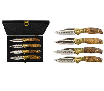 Set van 4 Homey's by Schiffmacher steakmessen, lemmet 8 cm
