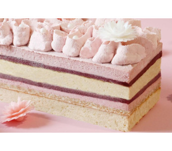 3 Scrapcooking Layer Cake silicone molds 25x10cm 2