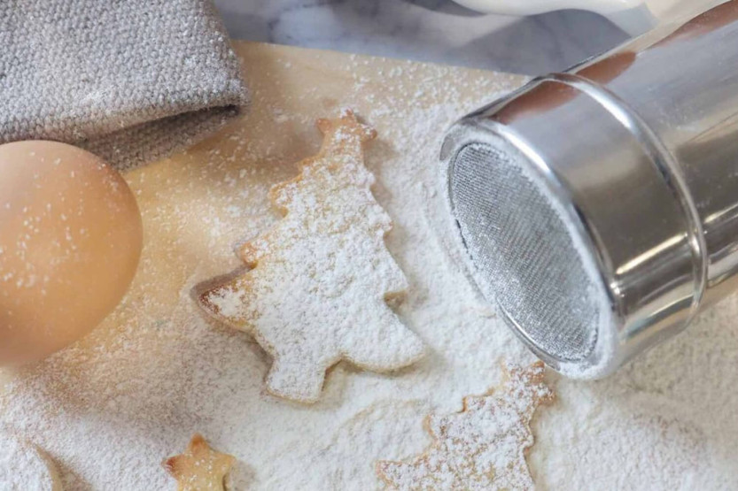 Scrapcooking fine mesh powdering machine for powdered sugar, cocoa and more