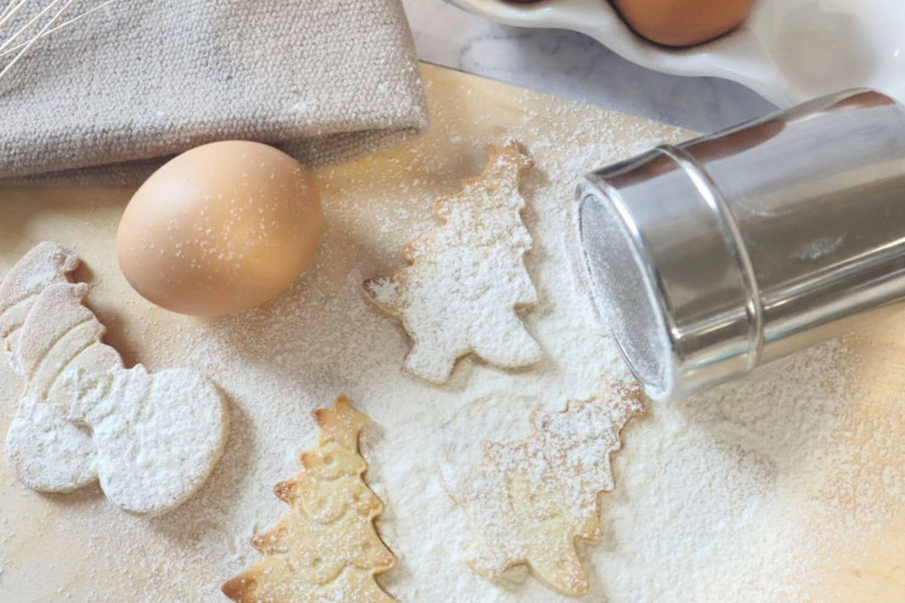 Scrapcooking fine mesh powdering machine for powdered sugar, cocoa and more