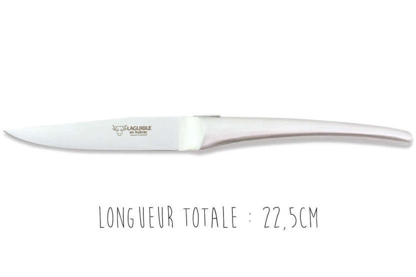 Set of 6 Laguiole table knives in Aubrac Monobloc brushed stainless steel
