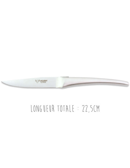 Set di 6 coltelli da tavola Laguiole Aubrac Monobloc in acciaio inox spazzolato
