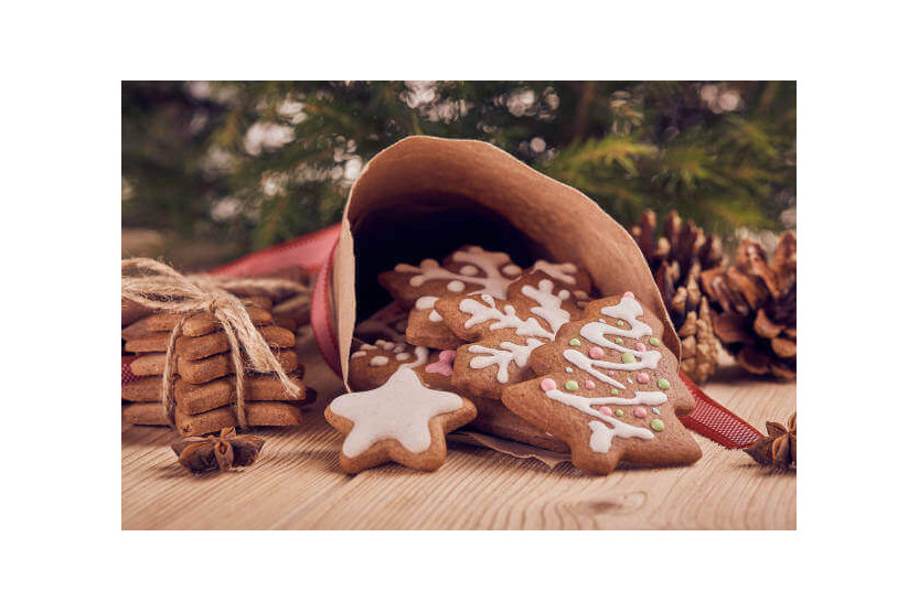 Box of 5 Scrapcooking polypropylene Christmas tree cutters