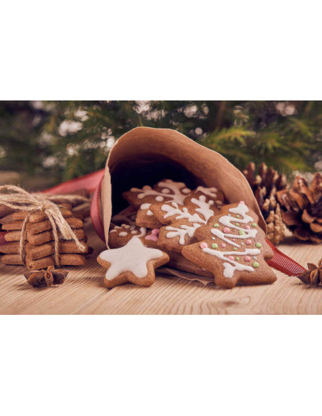Box of 5 Scrapcooking polypropylene Christmas tree cutters
