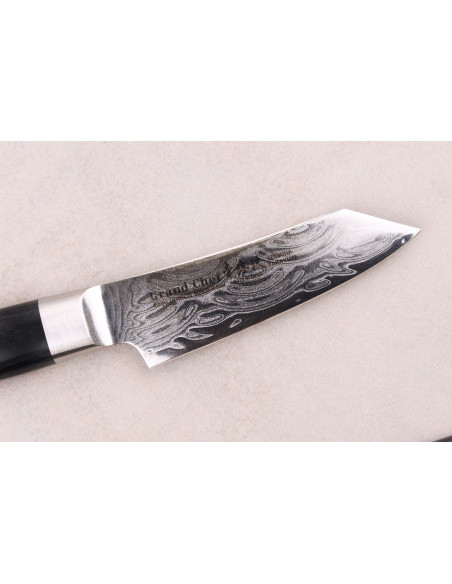 Sakai Takayuki Grand Chef Seigaiha Damascus 8cm Schilmes kengata 45 lagen