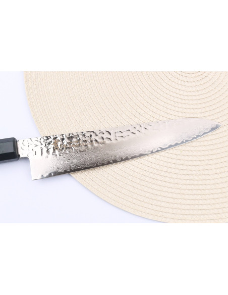 Sakai Takayuki Nanairo Green Damascus VG10 Japanese chef knife 21cm