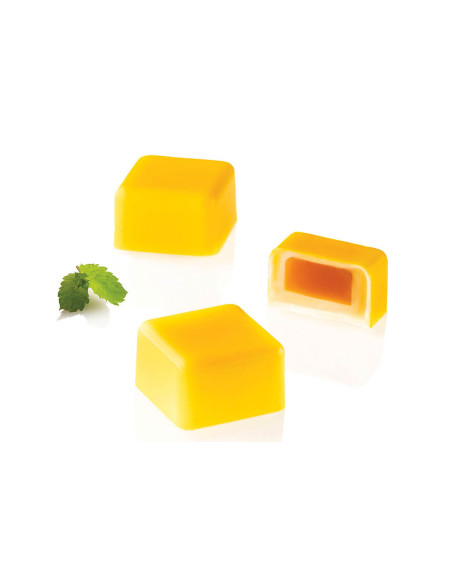 Molde de silicone profissional Silikomart 24 pralinés com encaixe