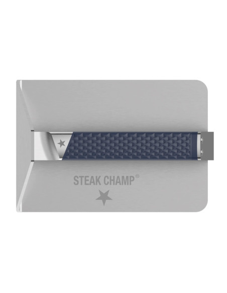 Steak Champ stainless steel grill and plancha press 19 x 13 x 6.5cm
