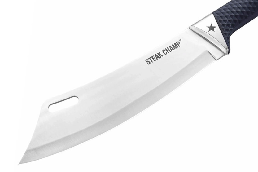 Grillmesser Steak Champ 22cm Polymergriff