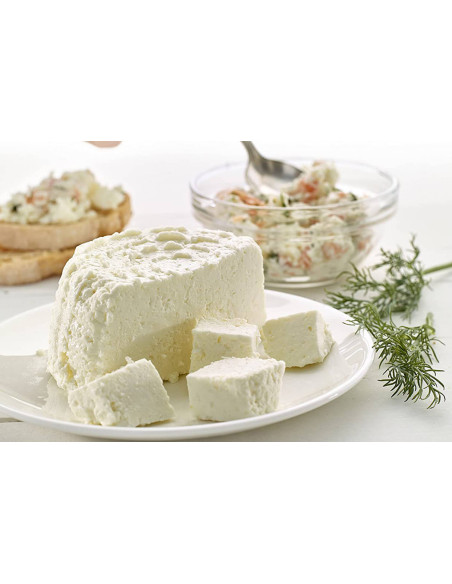 Lékué Cheese Maker kit för beredning av hemlagad ost + receptbok
