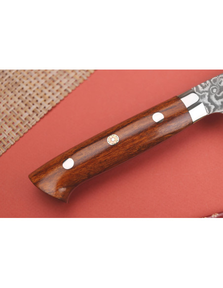 Takeshi Saji R2 Damaskus Mosaic 24 cm japansk sujihiki-kniv