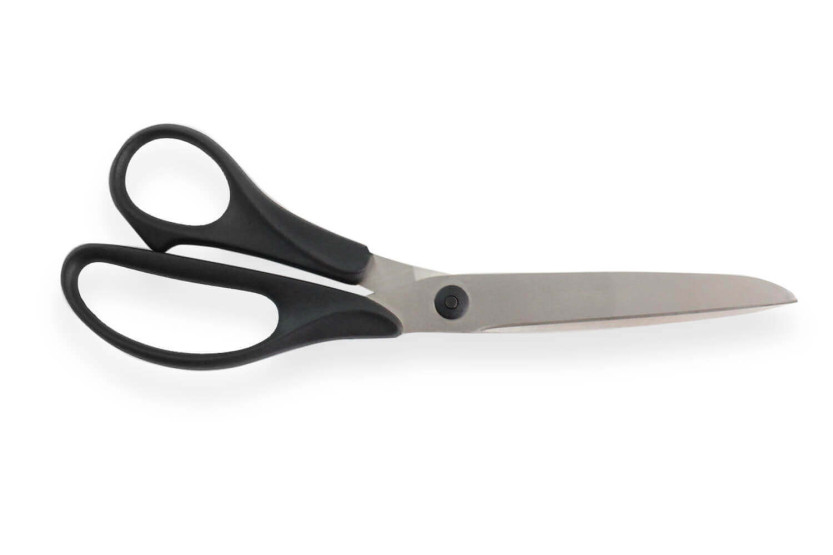 Wasa Solingen 21cm multi-purpose kitchen scissors