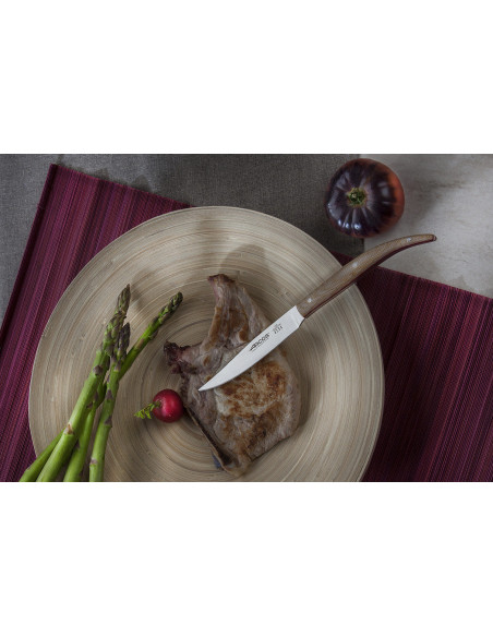 Set mit 4 Steakmessern Arcos The Origin 11cm Micarta-Griffschalen beige