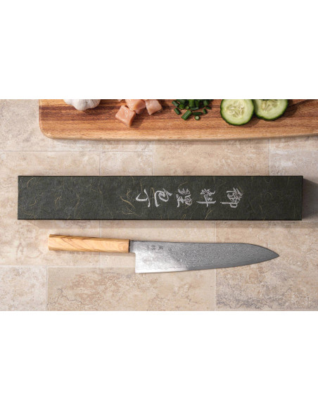 21 cm Yuzo Ryuho SG2 Damaskus japansk gyutokniv i damaskus