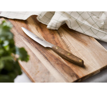 Sett med 4 Arcos Nordika 10 cm steakkniver 2