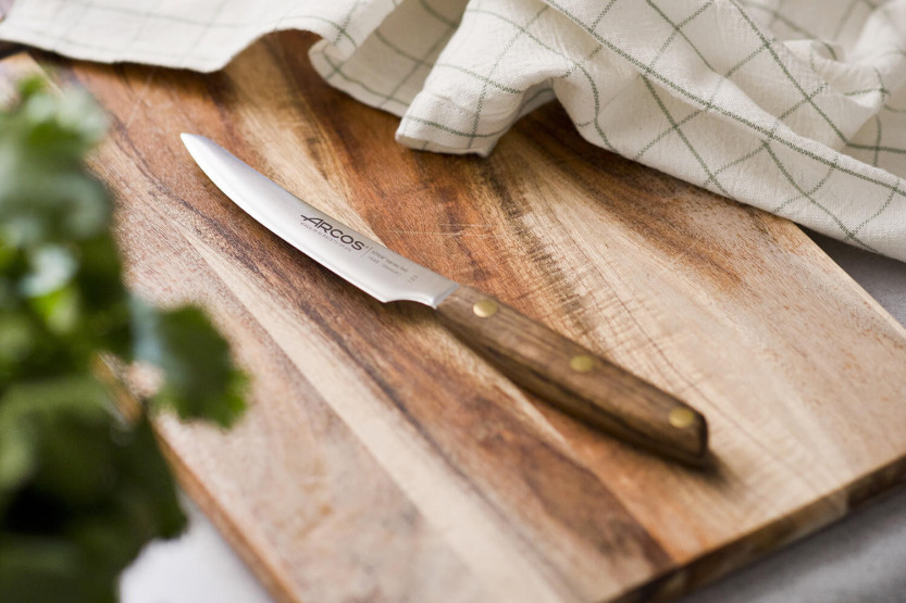 Set van 4 Arcos Nordika 10cm steakmessen