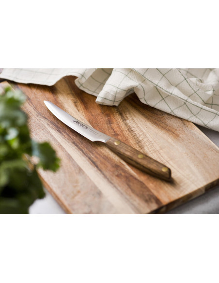 Set med 4 Arcos Nordika 10cm stekknivar