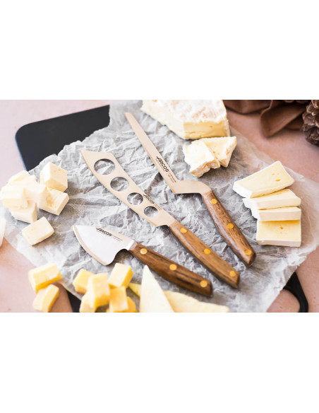 Set of 3 Arcos Nordika cheese knives