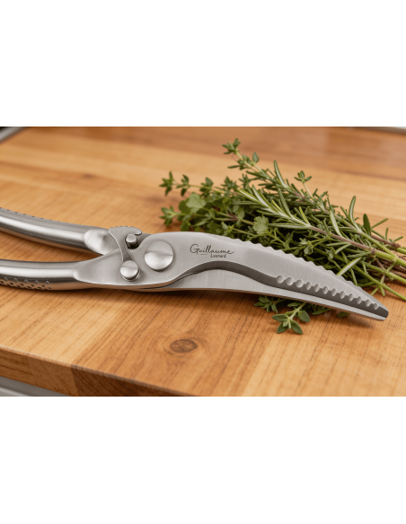 Guillaume Léonard stainless steel poultry shears