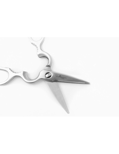 Guillaume Léonard stainless steel kitchen scissors