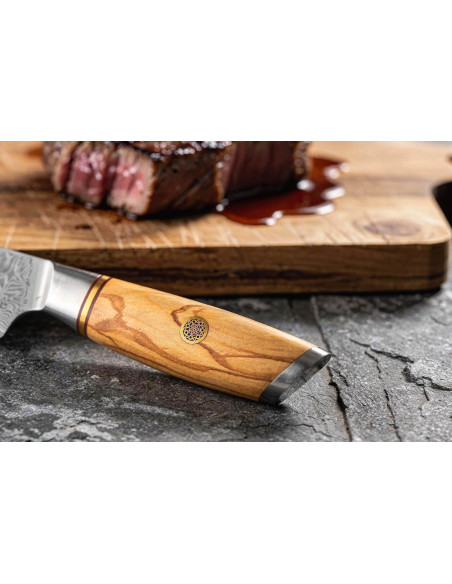Fukito Olive Damascus 14Cr 12cm steak knife