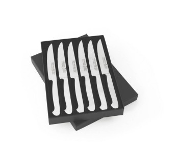 Set van 6 Kappa GÜDE steakmessen 12cm
