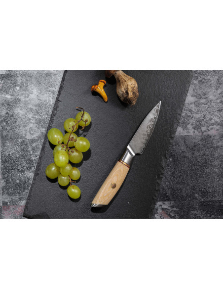 Knivset med 2 knivar Fukito Pakka San Mai: Kockkniv + Skalkniv