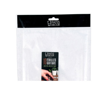 Set of 10 Patisdécor guitar sheets made of polyethylene, 30x40 cm 2