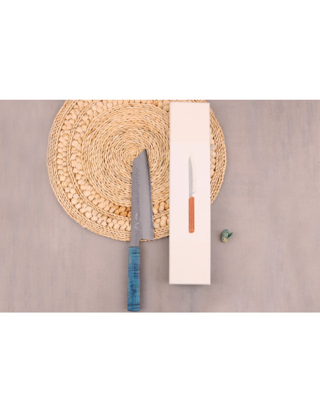 Coltello kiritsuke giapponese artigianale Hado Shiosai VG10 da 20 cm con manico blu