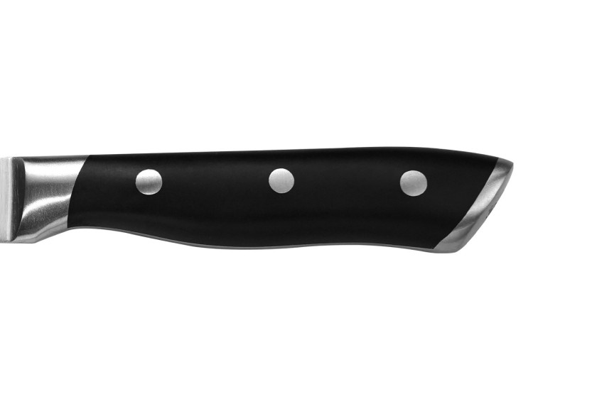 Sabatier International Hercules universele mes, lemmet 12 cm, ABS-heft met 3 klinknagels