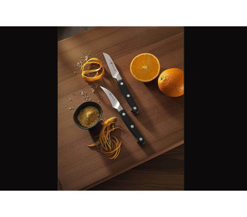 Faca para legumes lâmina reta forjada Zwilling Pro 9cm 2