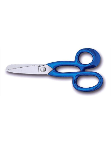 Forbici per pesci Bargoin 22 cm in acciaio inox manico in plastica blu