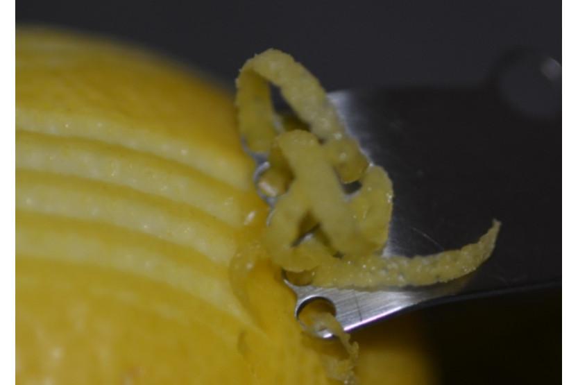 Zesteur Bargoin mango de acero inoxidable polypro