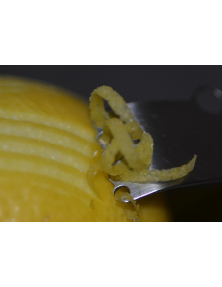 Zesteur Bargoin mango de acero inoxidable polypro