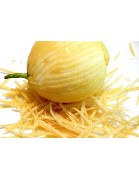 Zesteur Bargoin mango de acero inoxidable polypro