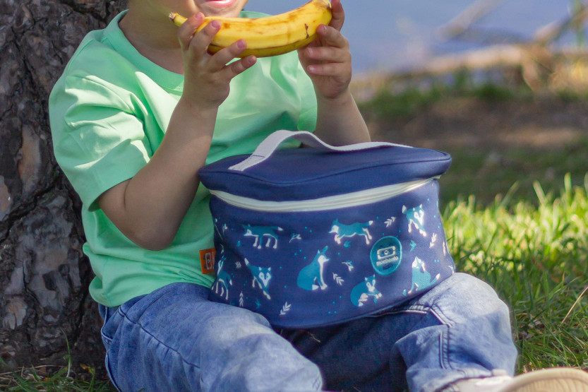 Monbento Frosty Blue Wolf 5L Insulated Lunch Bag for Kids