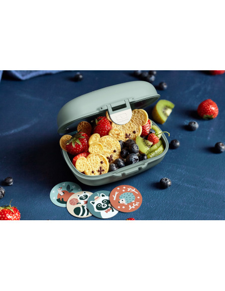 Monbento Gram Green Raccoon Snack Box