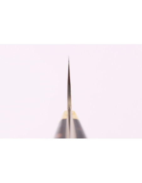Cuchillo de chef japonés artesanal Takeshi Saji BS2 Rainbow de 21 cm