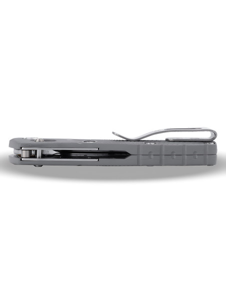 Buck 790 Mini Range Pro 0790GYS1 Folding Knife, Gray Handle, 9 cm